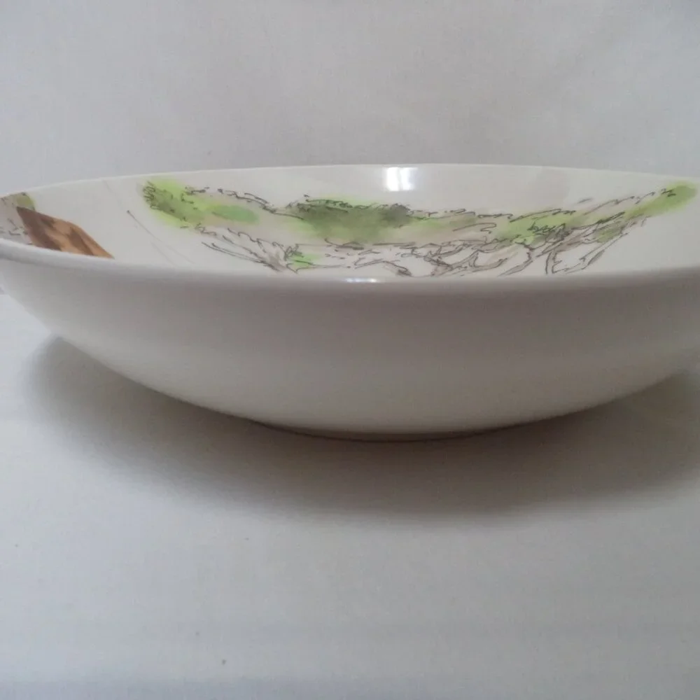 Pier 1 Africa Vintage Hand Painted Earthenware Serving Pasta Bowl Italy 3